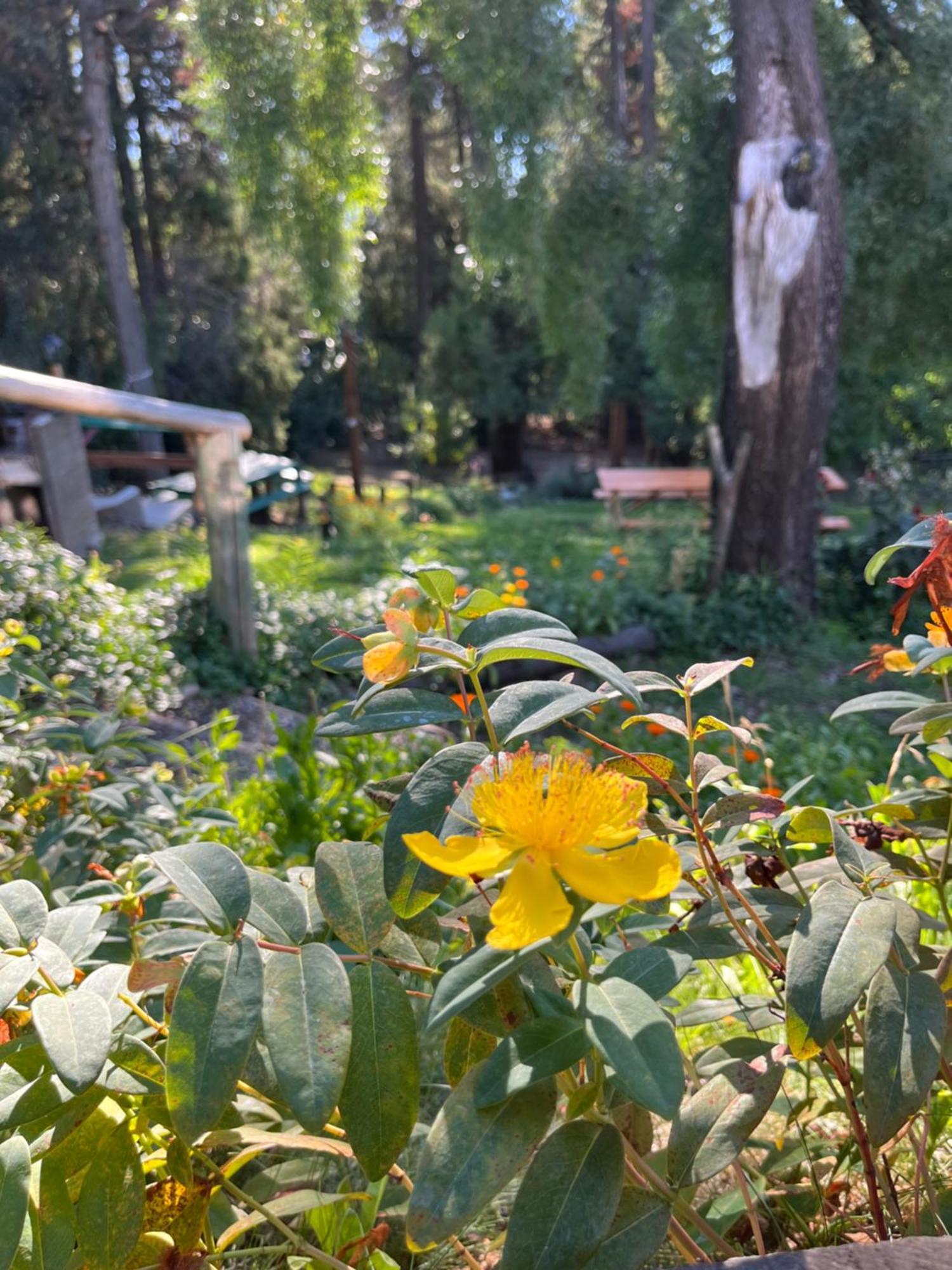 אל בולסון Hostel El Mirador מראה חיצוני תמונה