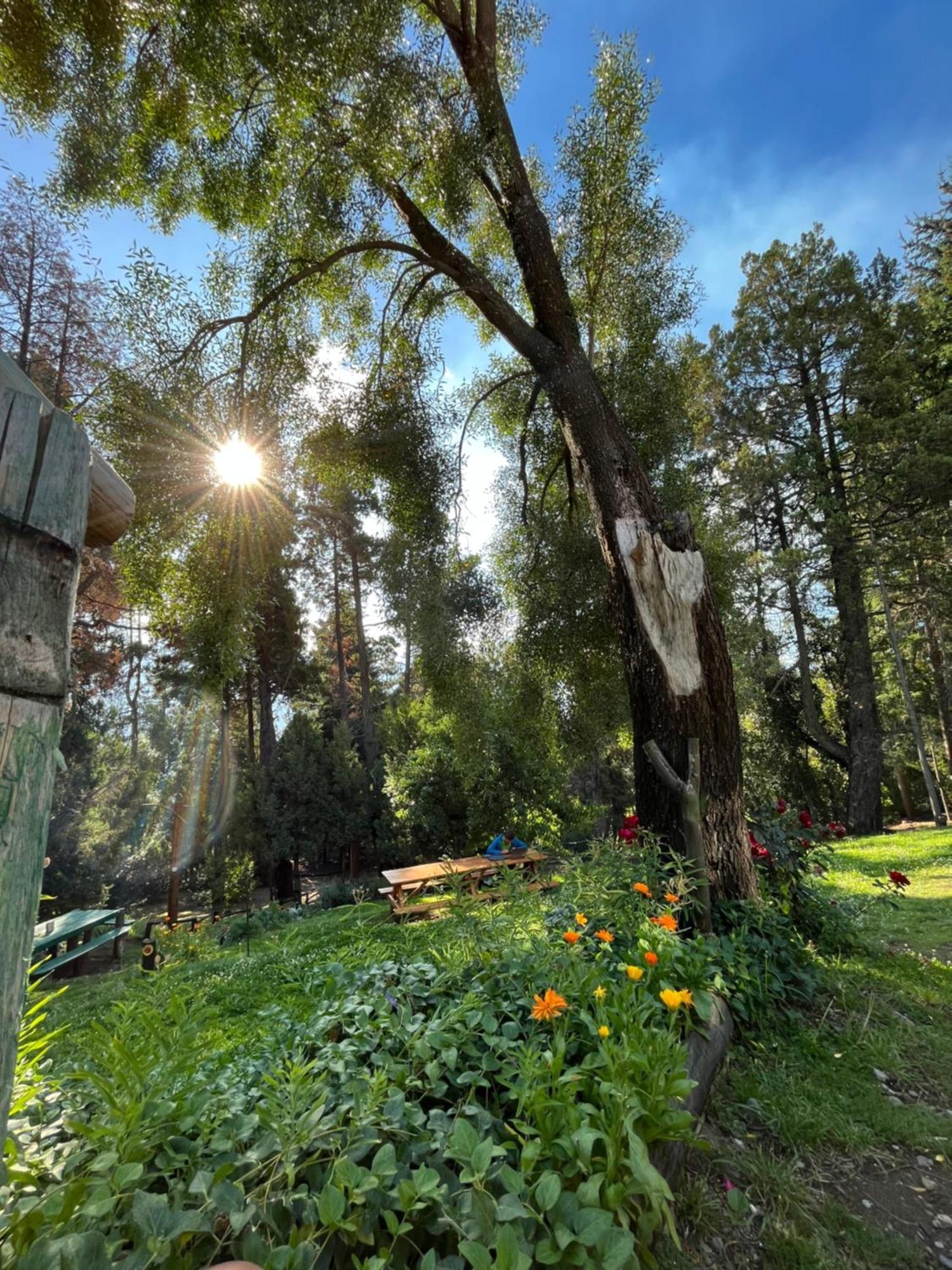 אל בולסון Hostel El Mirador מראה חיצוני תמונה