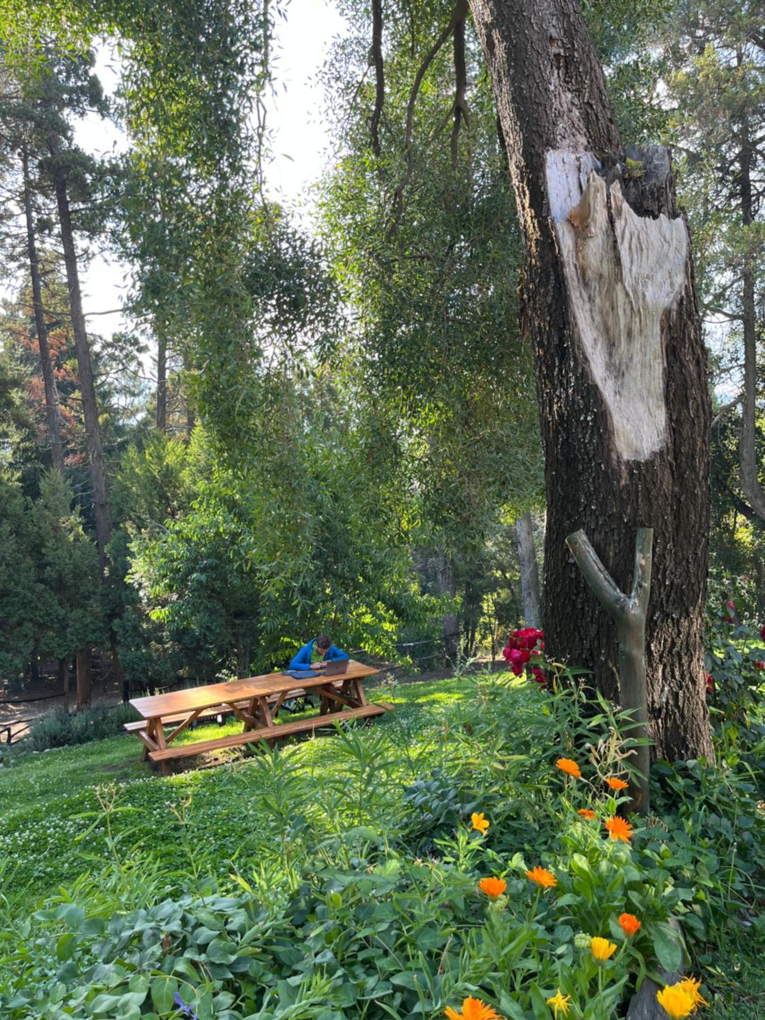אל בולסון Hostel El Mirador מראה חיצוני תמונה